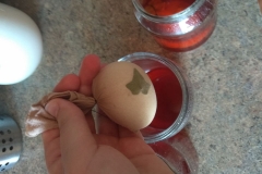 Obr. 10 - jedno pečlivě zabalené vajíčko patří do jedné sklenice