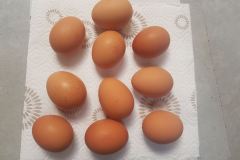 Obr. 1 - uvaříme si vajíčka, která chceme barvit