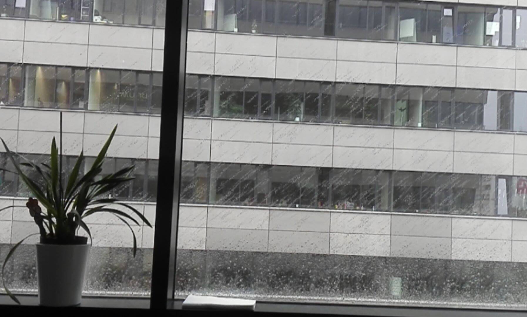 Pohled z okna kanceláře Terezky Š., šedivý :(